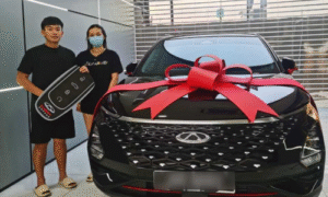 ioi-city-mall-chery-auto-christine-customer-7